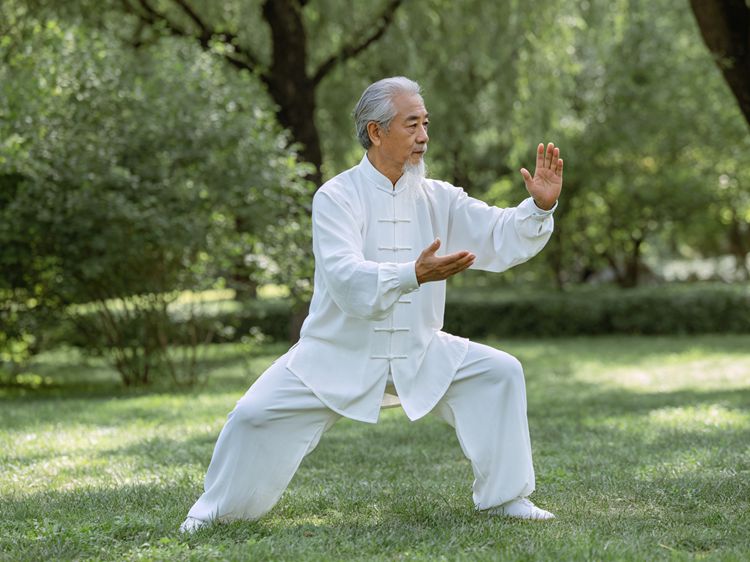 太极拳 简化 24 式 老年人平衡训练 居家养生